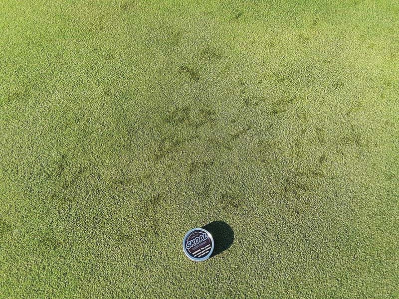 Photo Quiz: Oily marks, worn turf in perfect circles Oil on turf