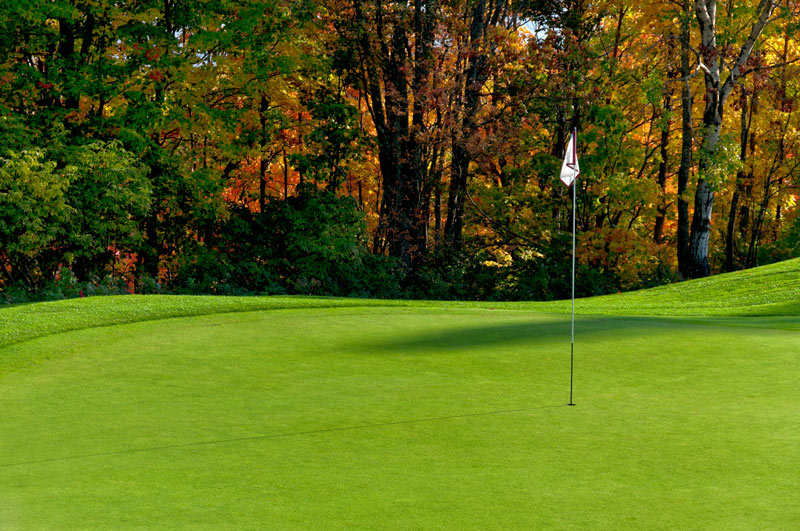 Potassium and turfgrass stress Potassium turfgrass stress