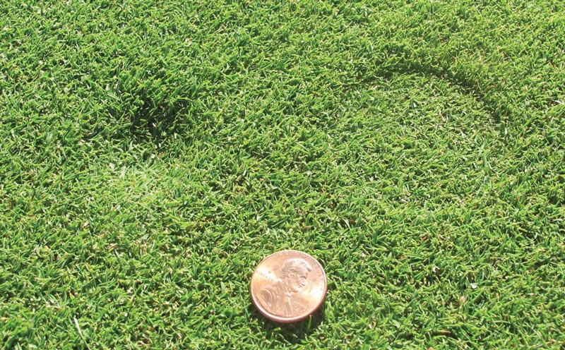 What the Tech? Measuring putting green firmness Putting green firmness