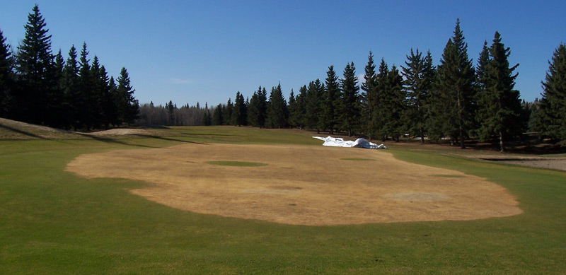 Perfecting winter putting green protection Turf anoxia damage