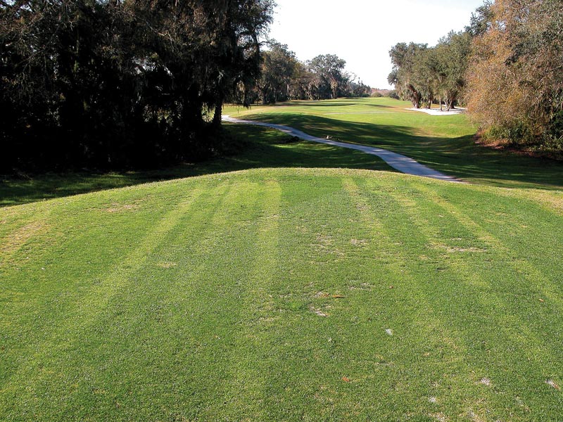 Photo Quiz: Various lines on tees Golf course tee