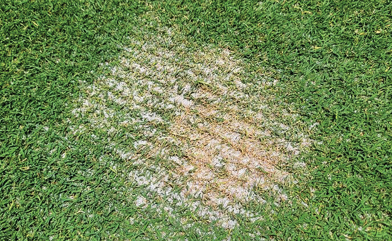 Aerial view of Ghost Creek golf course