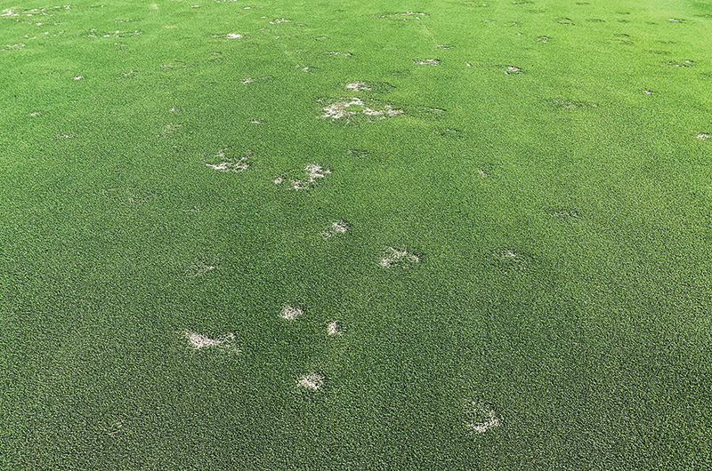 Aerial view of Ghost Creek golf course