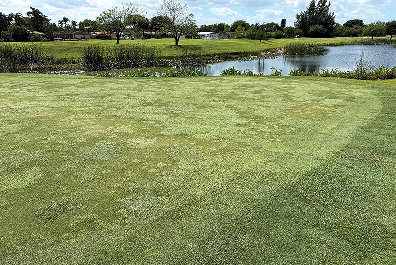 Aerial view of Ghost Creek golf course