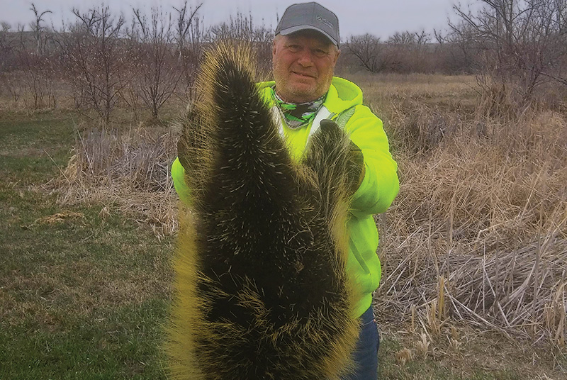 A patch of sprayed turf with a leaf shape on it Small patch of yellow discolored turf within a dark green putting green