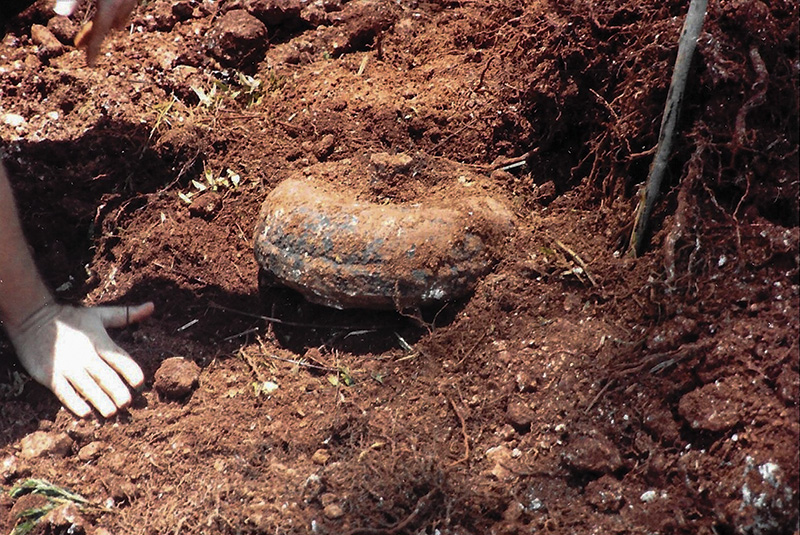 A patch of sprayed turf with a leaf shape on it Small patch of yellow discolored turf within a dark green putting green