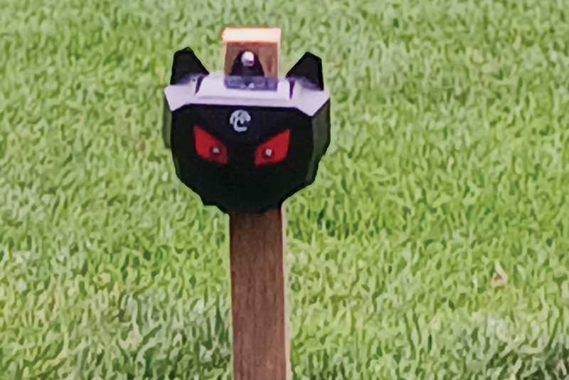 Patch of turf with closeup of brown dry patch. solar-powered animal repeller.