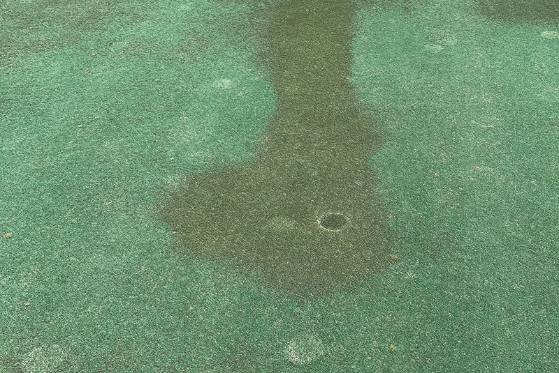 A patch of sprayed turf with a leaf shape on it Small patch of yellow discolored turf within a dark green putting green