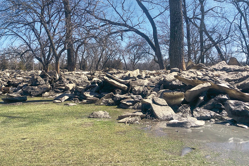 A patch of sprayed turf with a leaf shape on it Small patch of yellow discolored turf within a dark green putting green