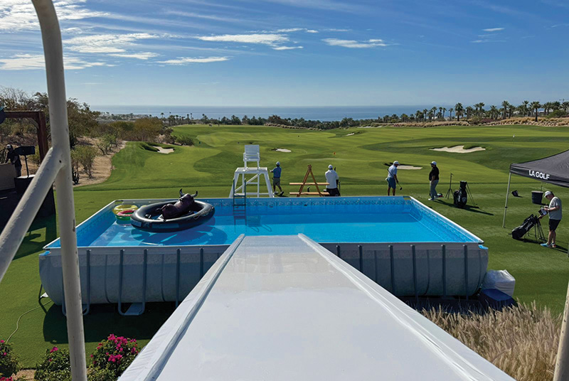 A patch of sprayed turf with a leaf shape on it Small patch of yellow discolored turf within a dark green putting green