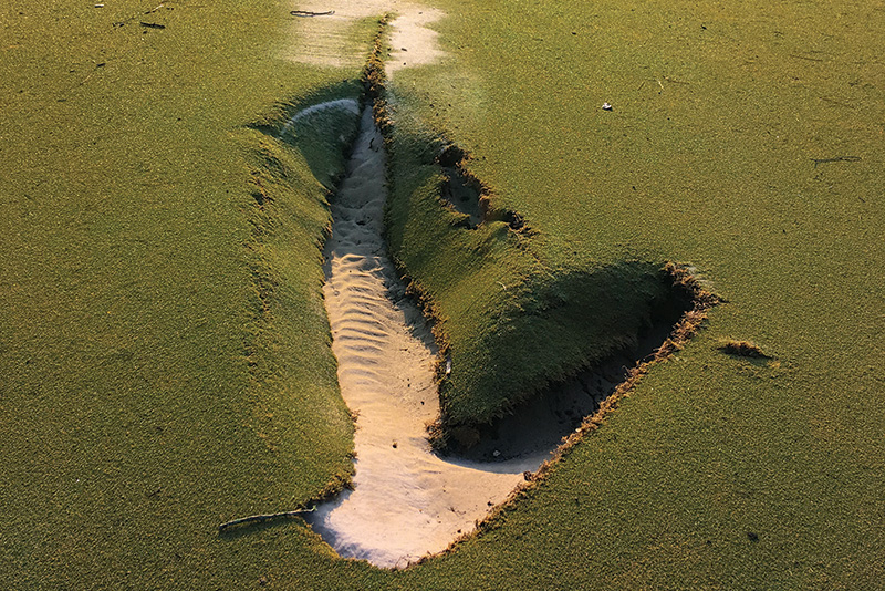Area of dry brown turf behind a tree Area of dry brown turf behind a tree