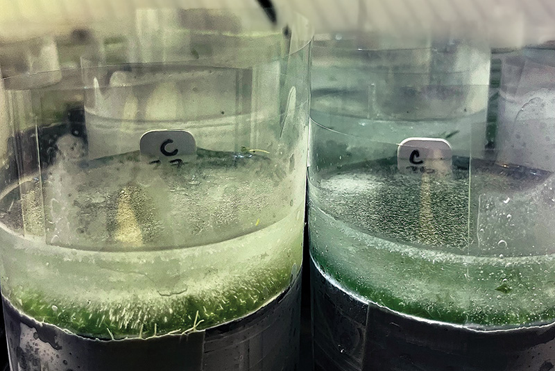 Aerial view of Ghost Creek golf course